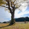 風の匂い