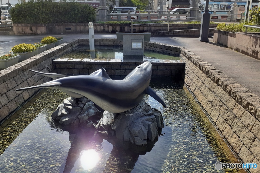 くじら②　中