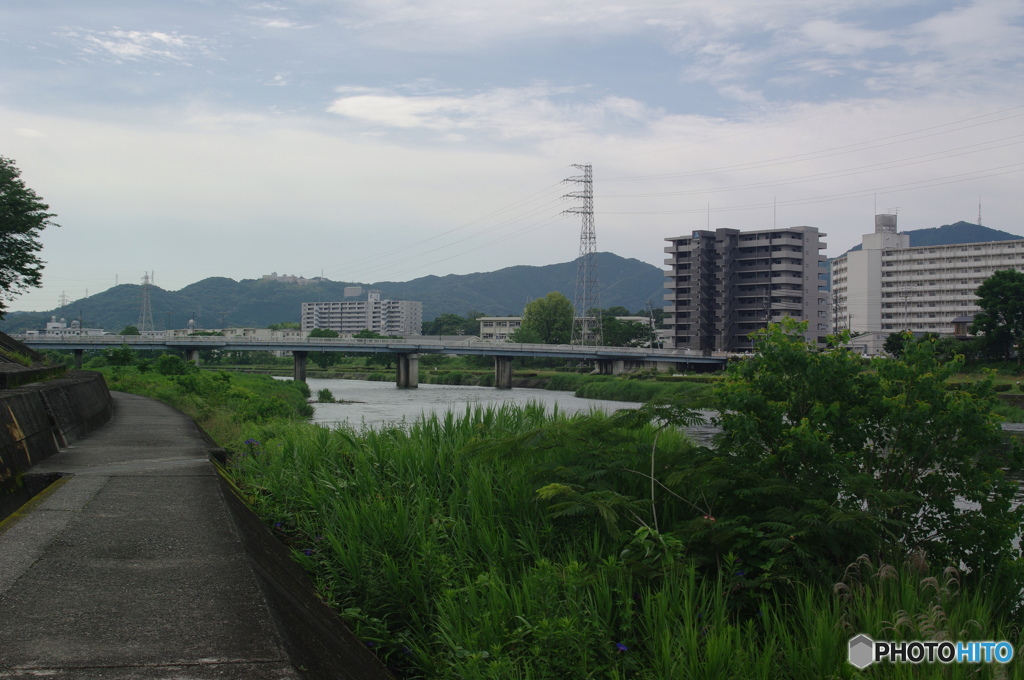 橋の見える景色