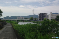 橋の見える景色