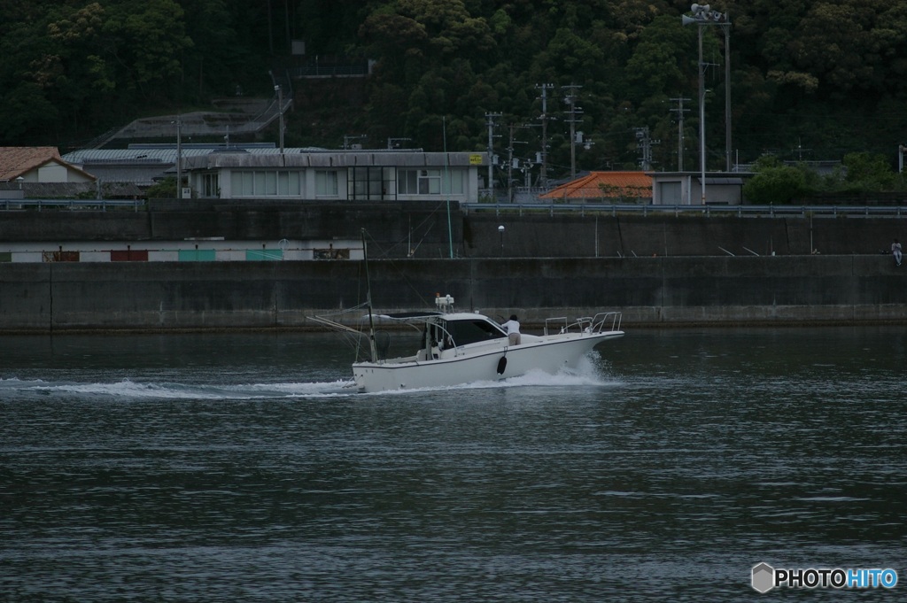 お散歩カメラ（海辺）②　大丈夫？