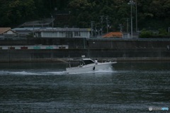 お散歩カメラ（海辺）②　大丈夫？