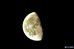 月夜の晩に①　月っ