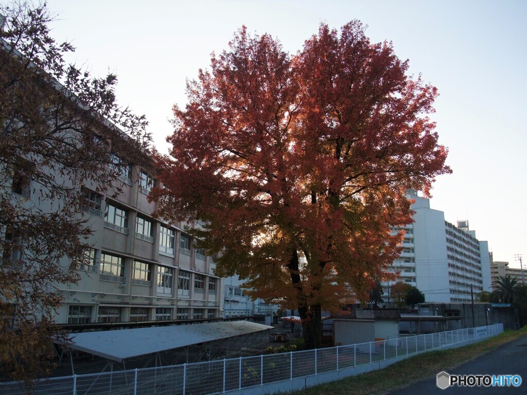 仕事納め② 学校