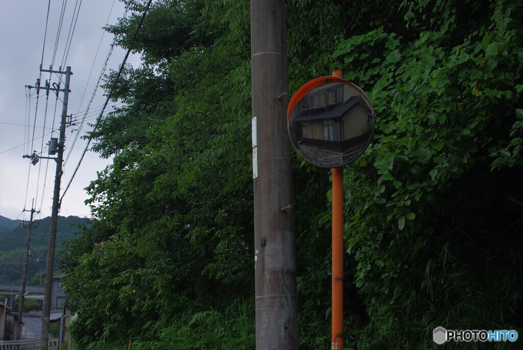 本日も雨っ