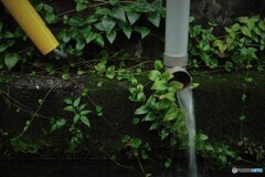 排水パイプ