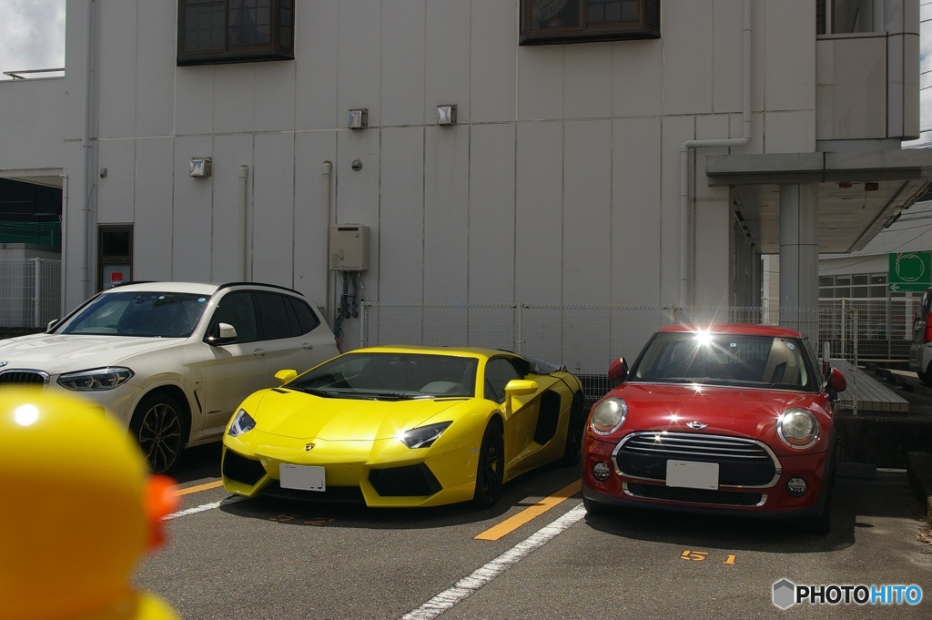 うし系①　ランボ