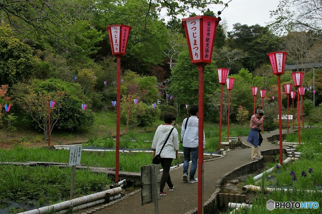 つつじ祭り①　ってどこが？