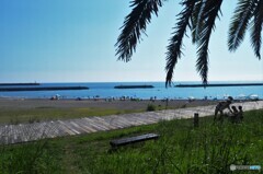 海に行ってきた① 夏の思い出