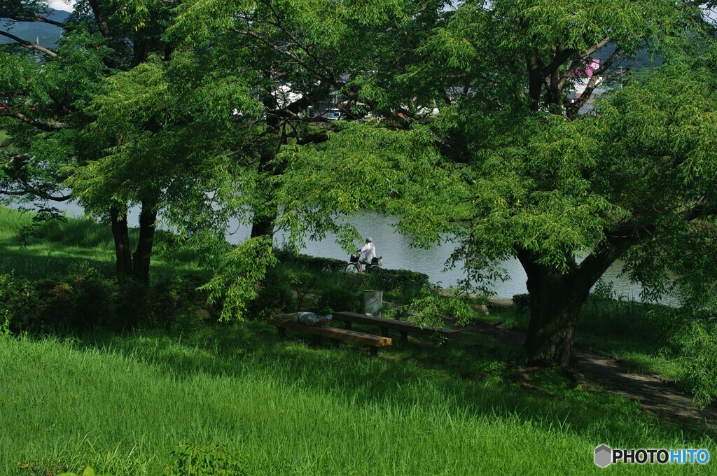 ついついお昼寝(*´ω｀*)