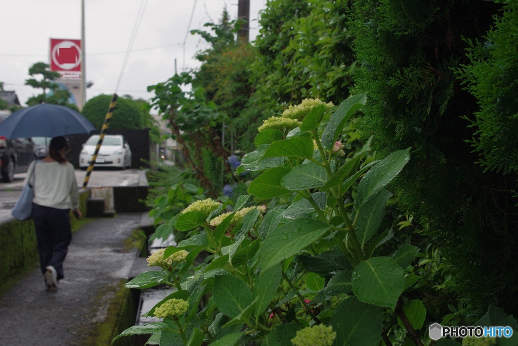 雨の日②　おばさん１