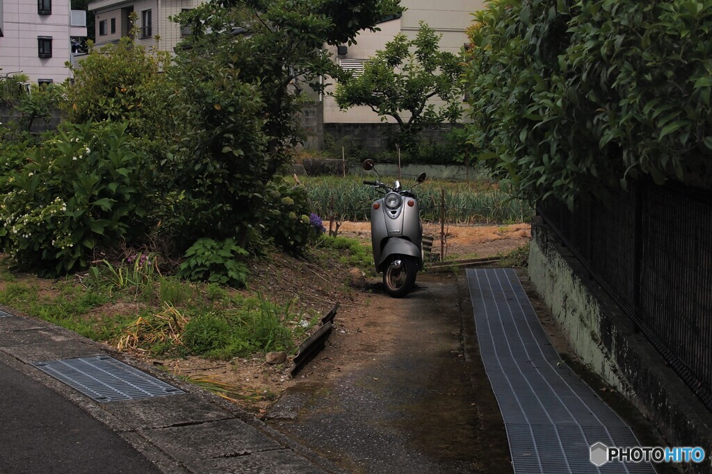 昨日の帰り道(*^-^*)