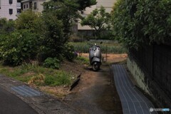 昨日の帰り道(*^-^*)