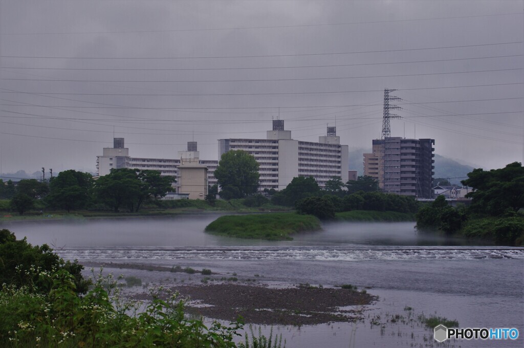 今日も雨☔