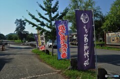 海に行ってきた⑦ お土産