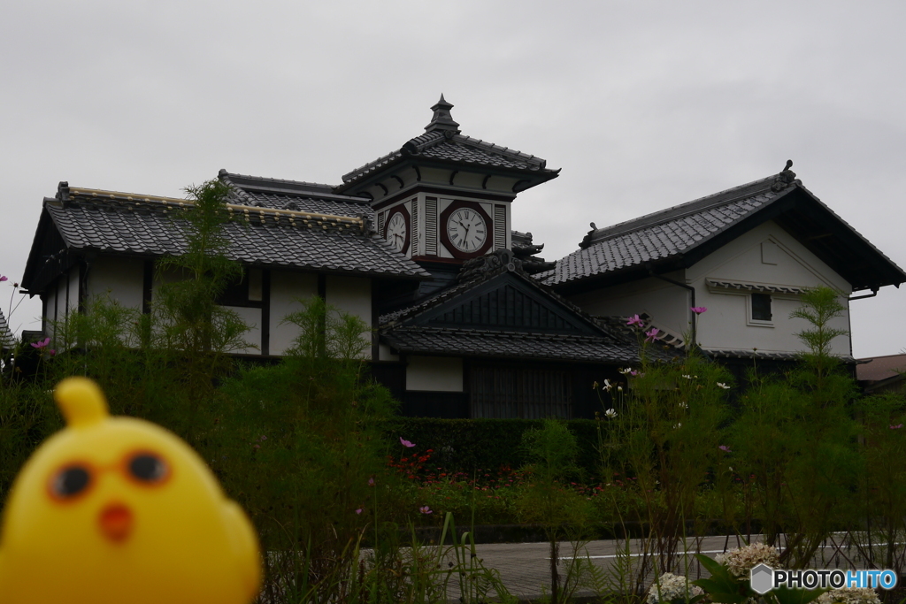 野良時計②　これ