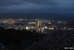 夜桜な景色①　高知市