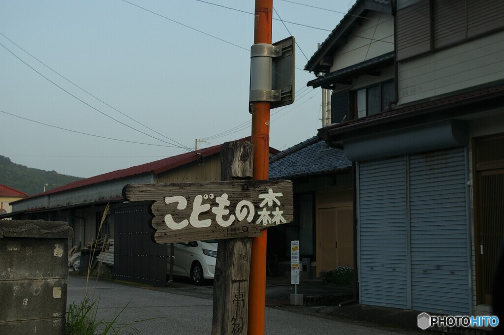 こどもの森①　入口