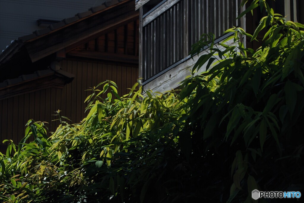 日差し