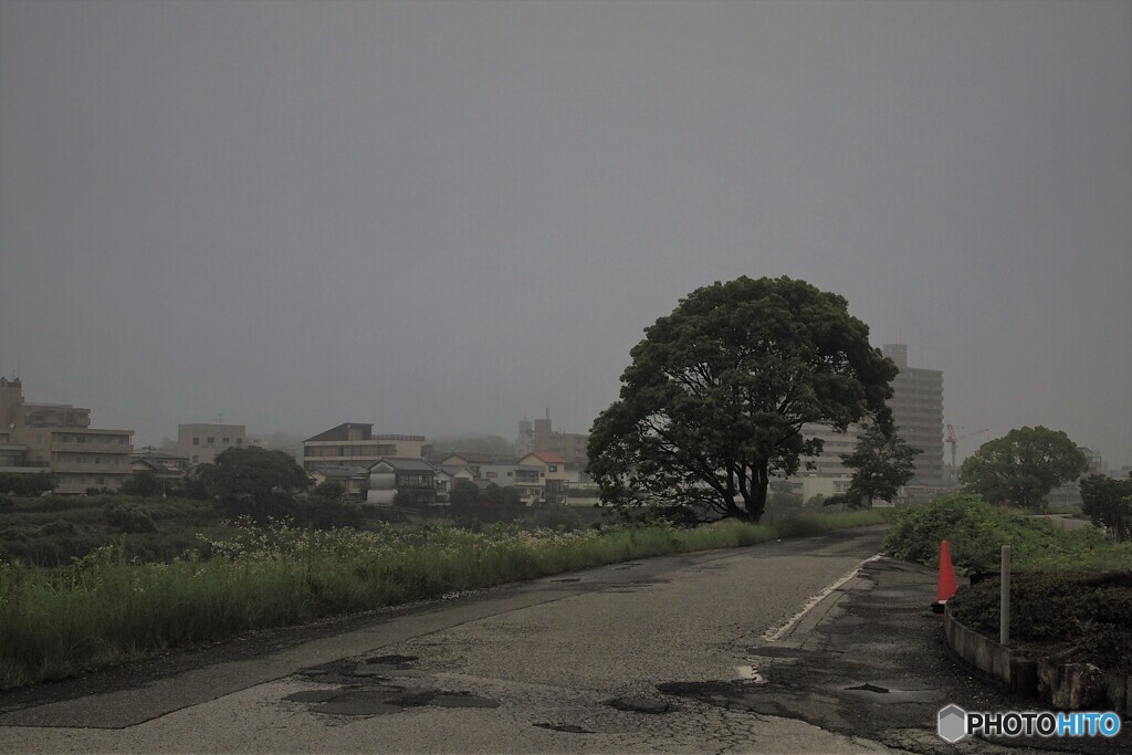霧～