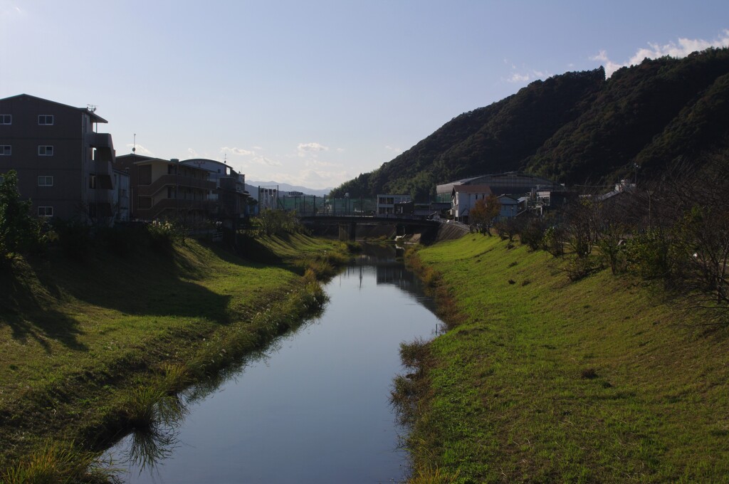 穏やかな小川