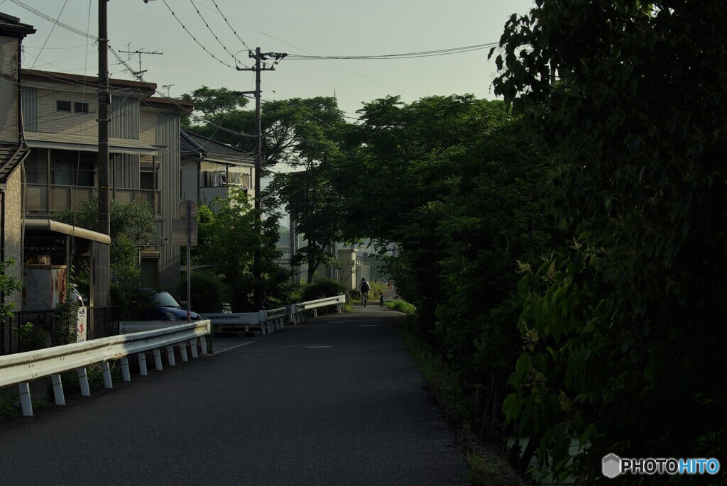 朝の景色
