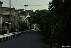 朝の景色
