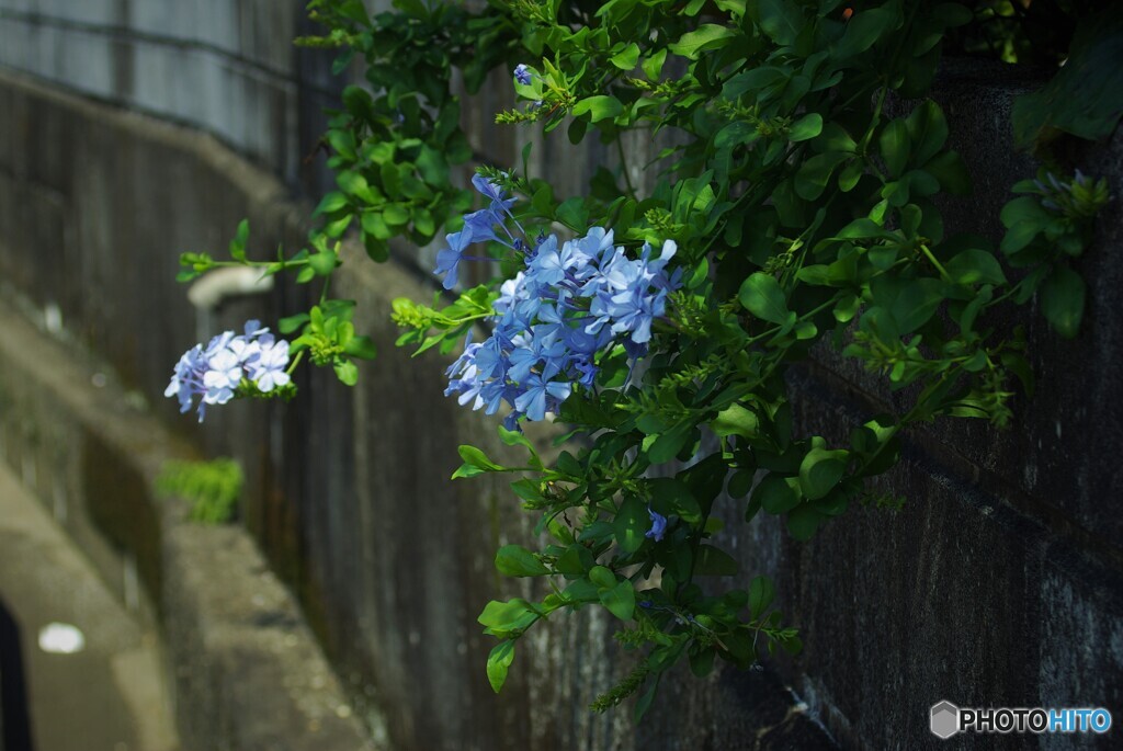 爽やかに・・