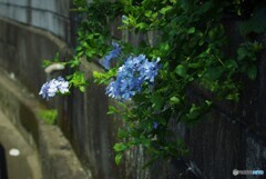 爽やかに・・