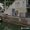 直った橋③　パチってるのをパチリ