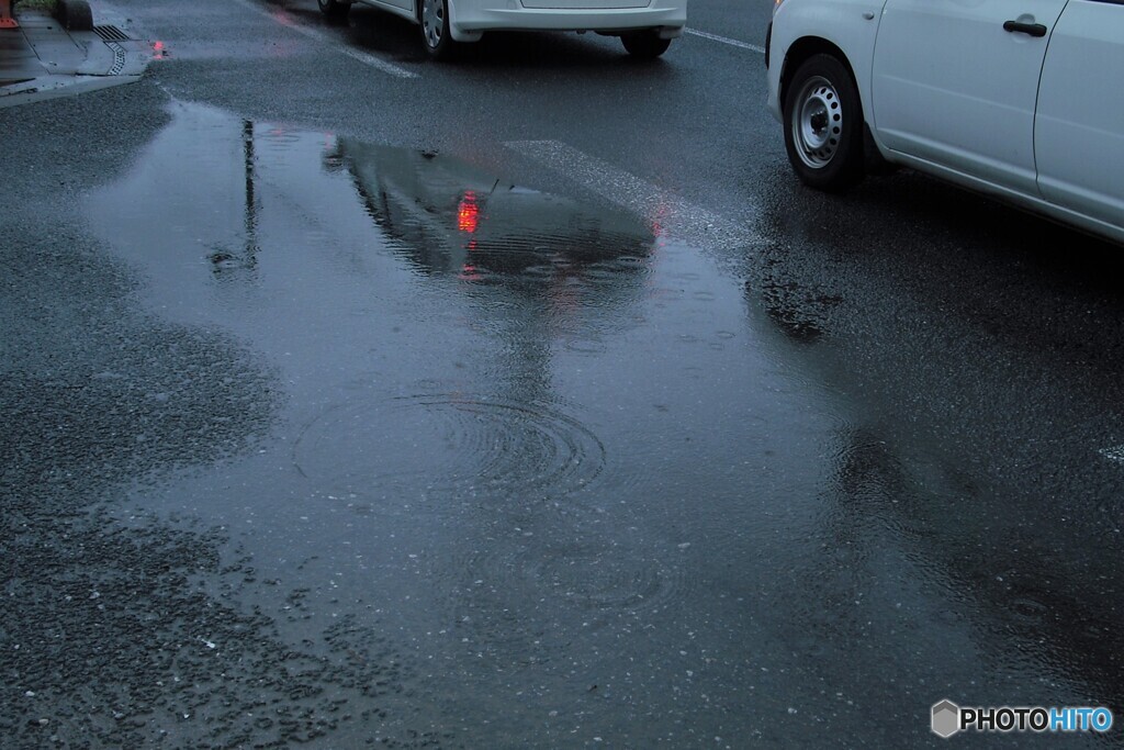 朝の雨～☔