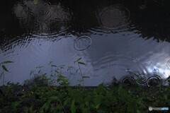 雨の月曜日～