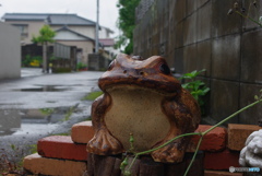 雨っぽい系③　カエル