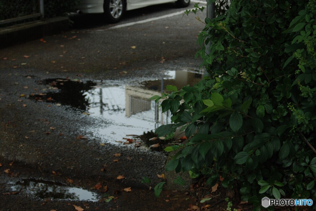 雨上がり☔