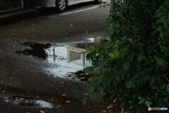 雨上がり☔