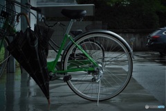 今日も雨☔