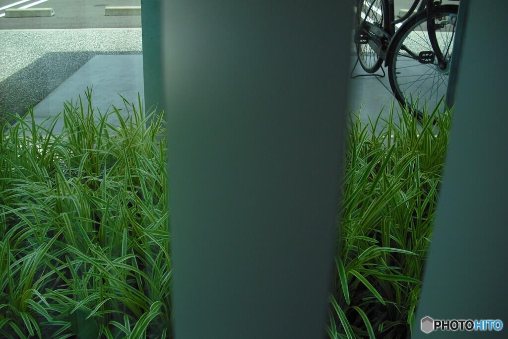 暇つぶし・・