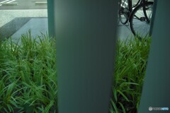 暇つぶし・・