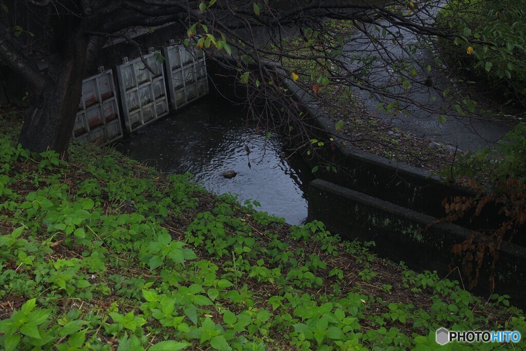 閉じてた水門