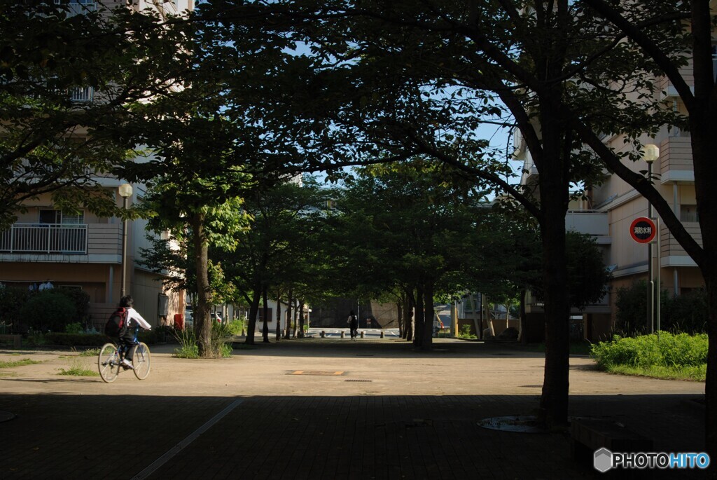 朝の風景