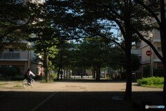 朝の風景
