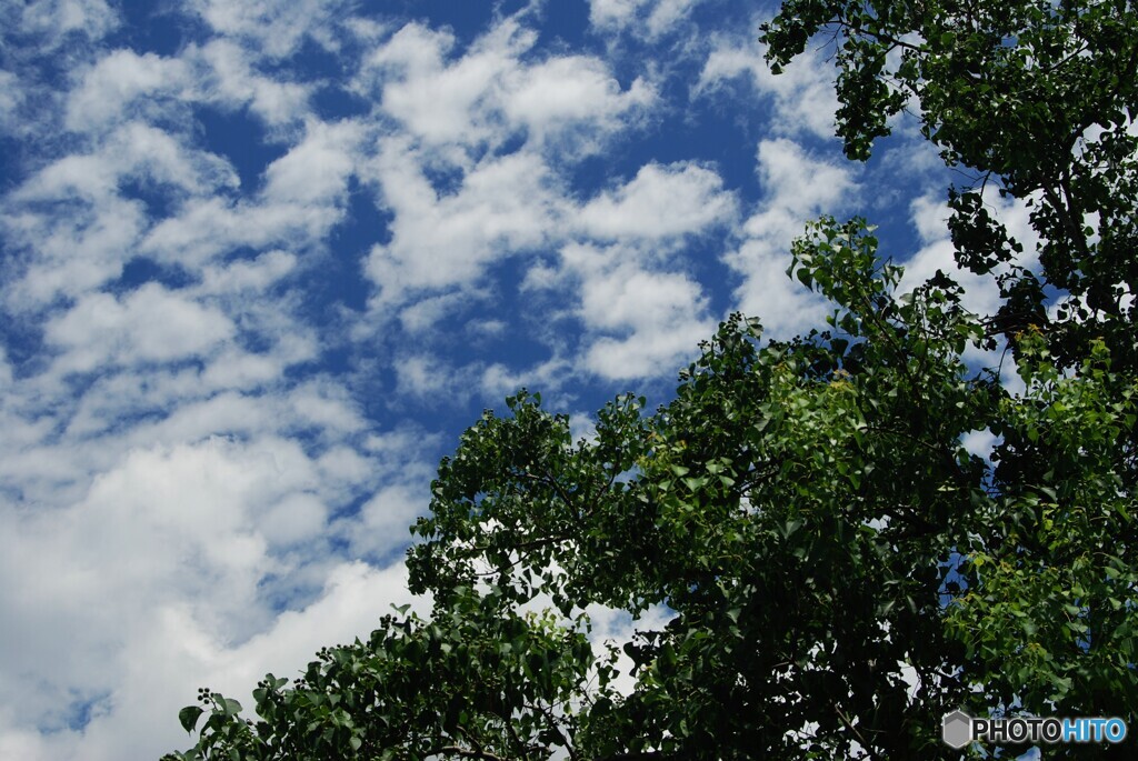猛暑日の空