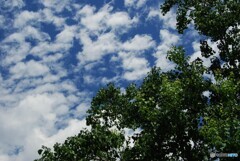 猛暑日の空