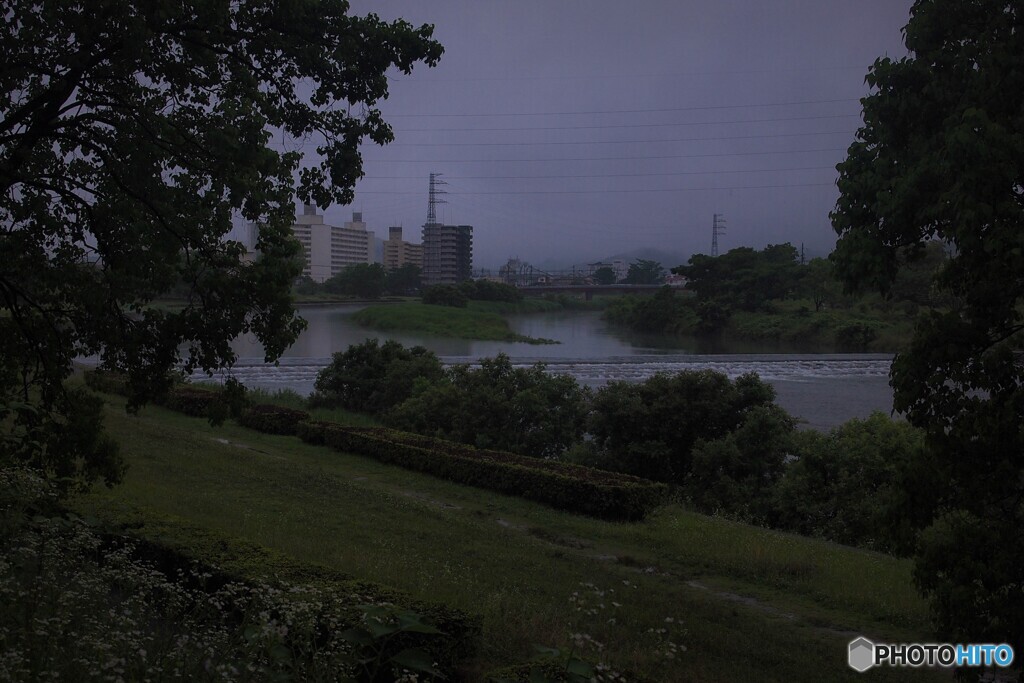 今日は雨☔