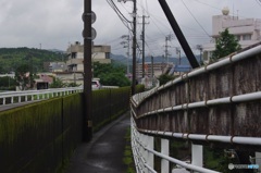 今日もどんより