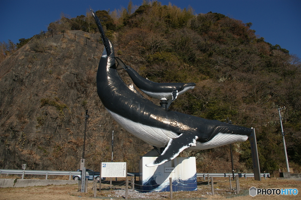 クジラの置物①　デカっ