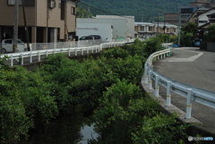 くねくね道～