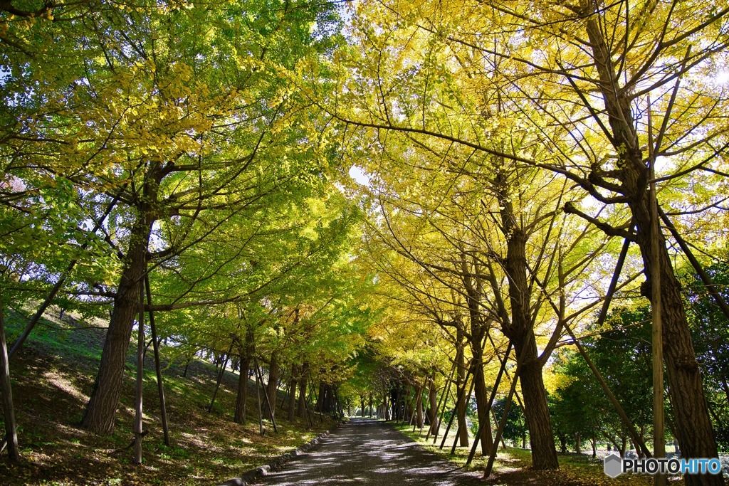 トンネルの先には何がある？