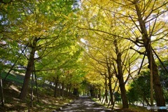 トンネルの先には何がある？