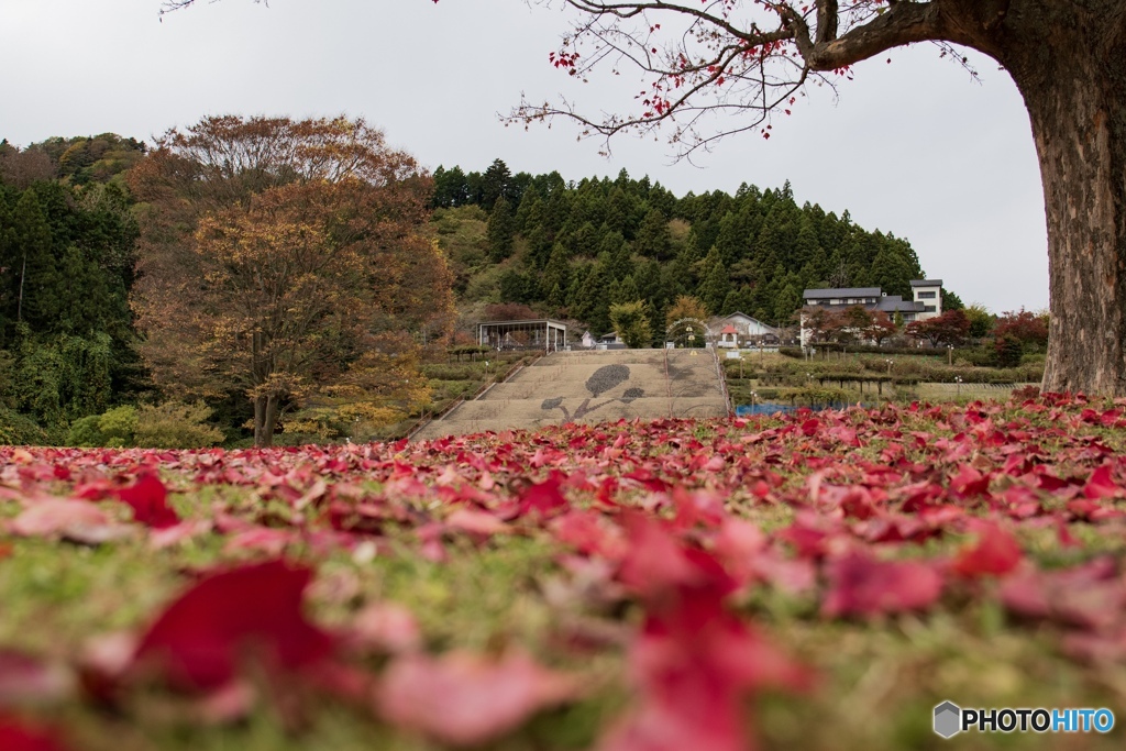 燃ゆる大地